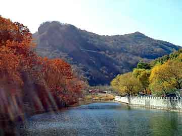 新澳天天免费资料大全，山东龙口海景房骗局